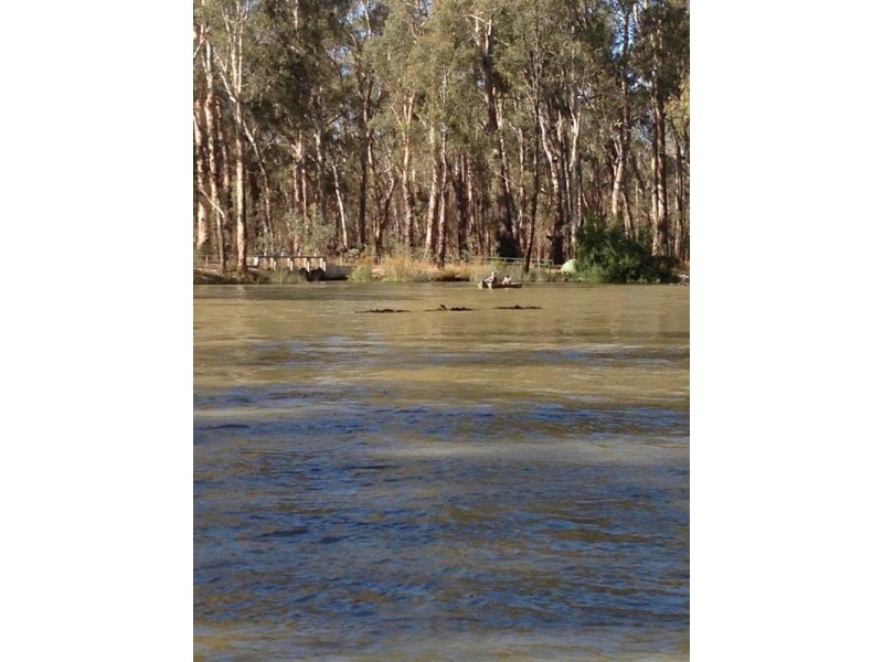 TARRAGON LODGE Picnic Point, Mathoura NSW 2710