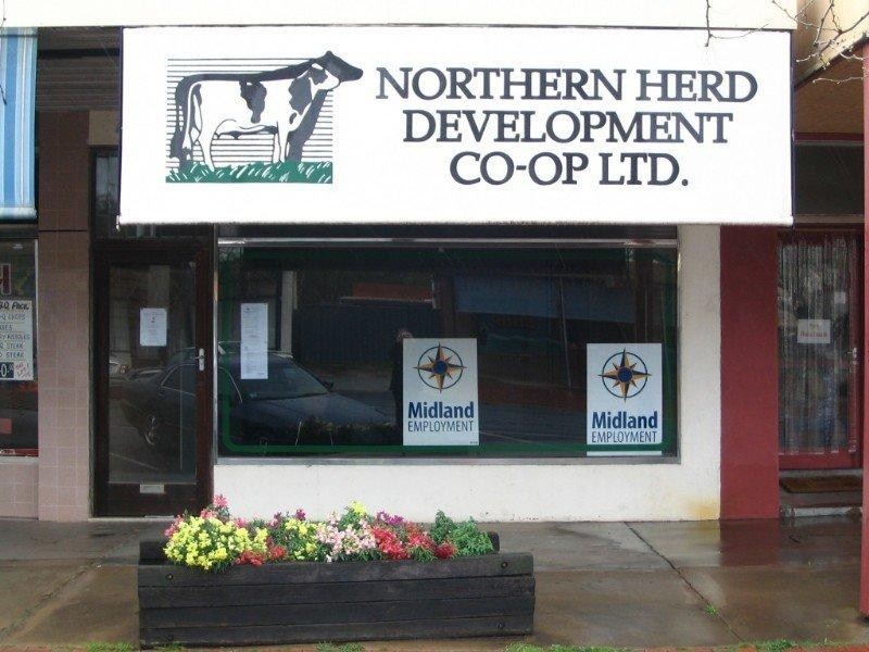 66 Mackay Street, Rochester VIC 3561