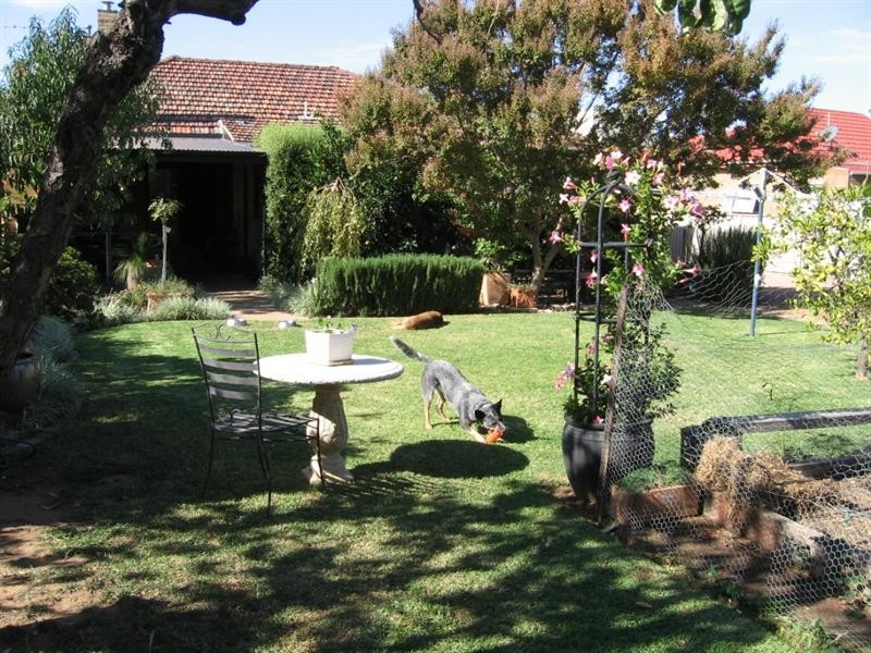 36 Victoria Street, Rochester VIC 3561