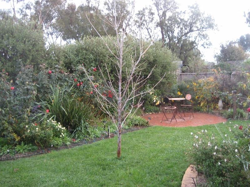 10 Queen Street, Rochester VIC 3561