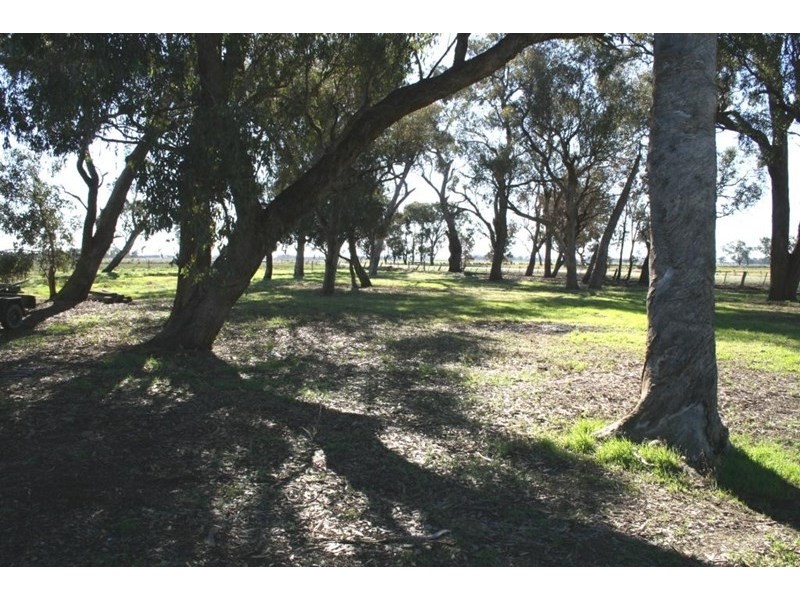 857 Watson Road, Timmering VIC 3561