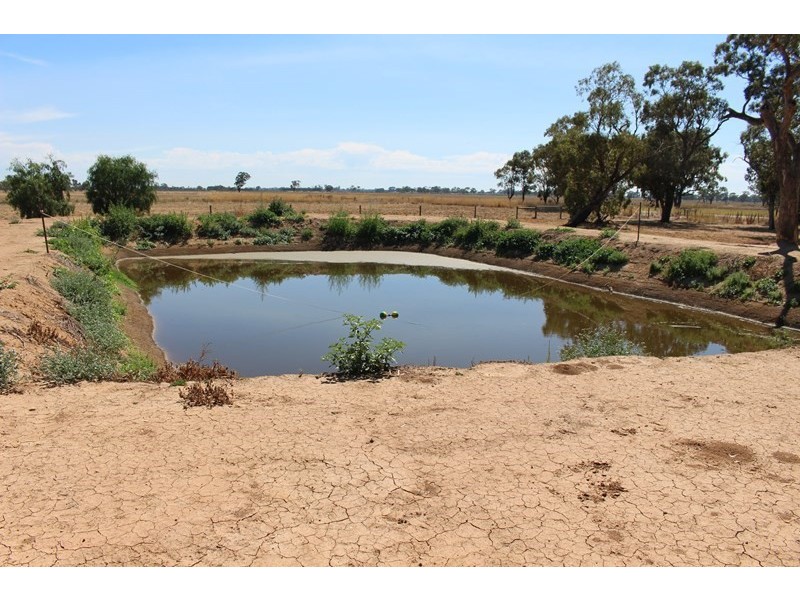 857 Watson Road, Timmering VIC 3561