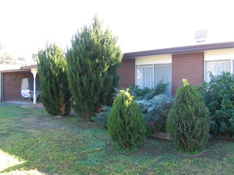 6 Wileman Street, Rochester VIC 3561