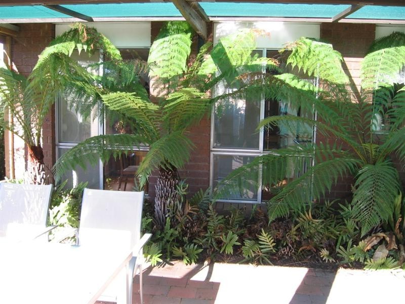 6 Wileman Street, Rochester VIC 3561