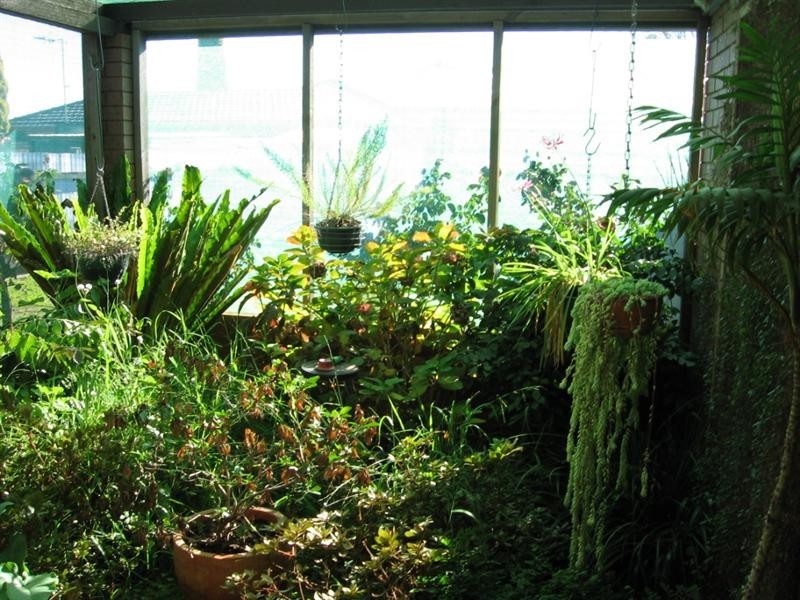 6 Wileman Street, Rochester VIC 3561