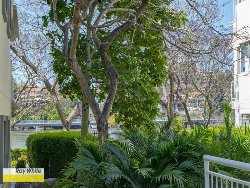 3001/56 Wharf Street, Kangaroo Point QLD 4169