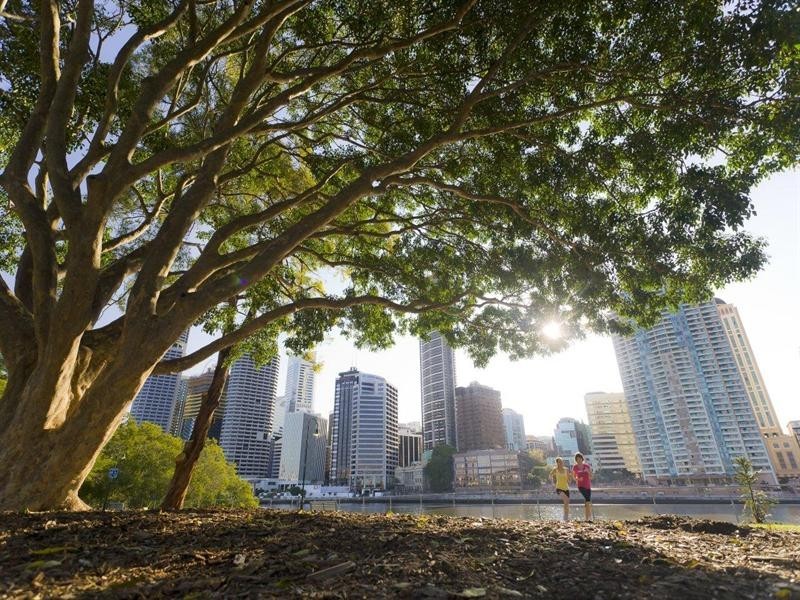 3106/54 Wharf Street, Kangaroo Point QLD 4169