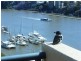 Level 13 44 Ferry Street, Kangaroo Point QLD 4169