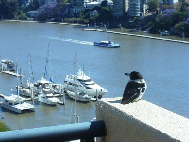 Level 13 44 Ferry Street, Kangaroo Point QLD 4169