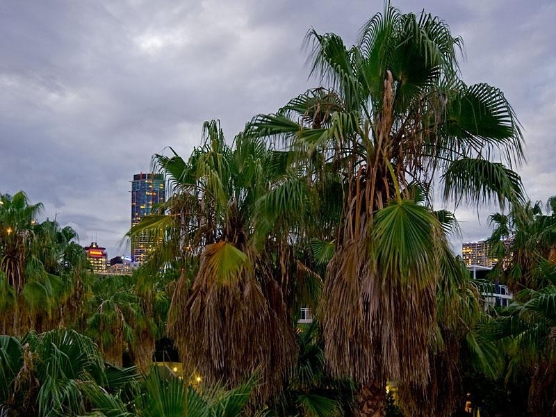 Level 2 39/50 Rotherham Street, Kangaroo Point QLD 4169