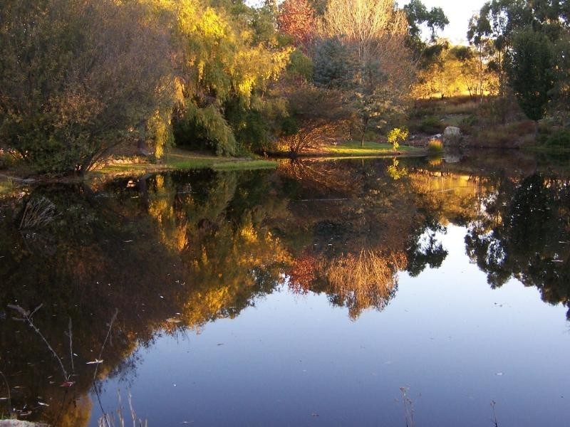 90 Nicholson Road, Stanthorpe QLD 4380