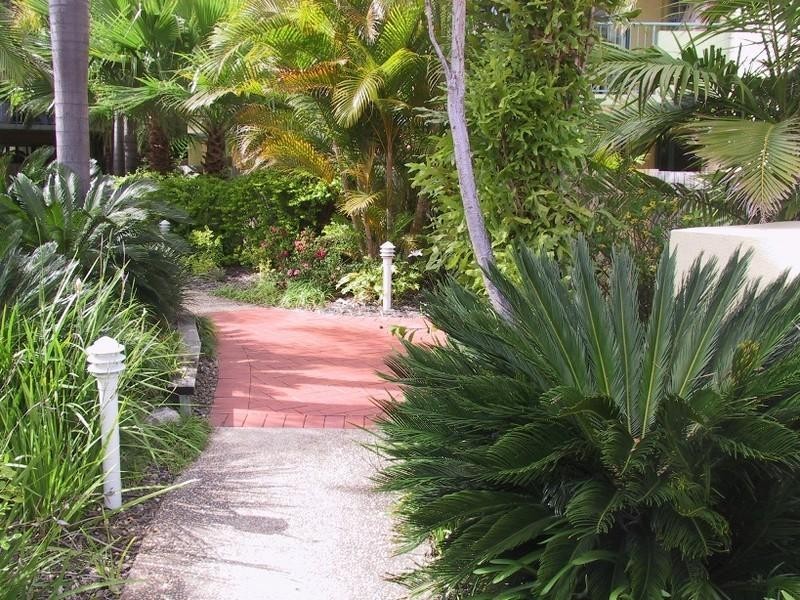 219 Wellington Road, Kangaroo Point QLD 4169