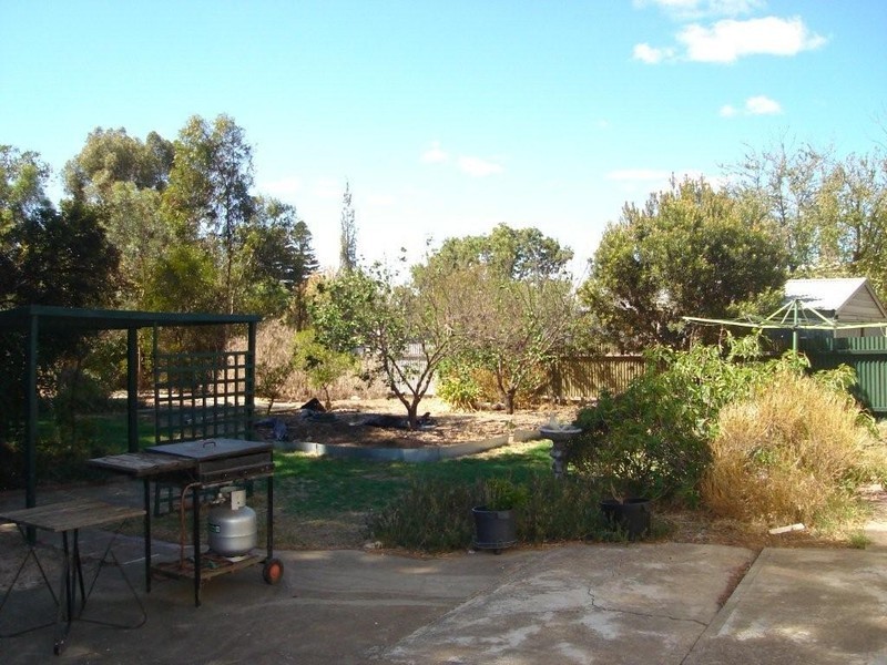 17 Rogers Street, Freeling SA 5372