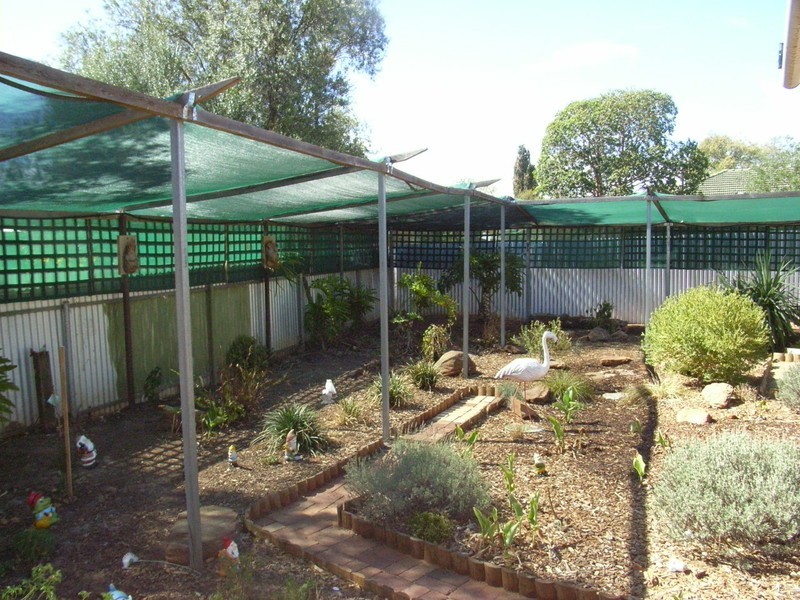 21 Andrews Road, Elizabeth Downs SA 5113