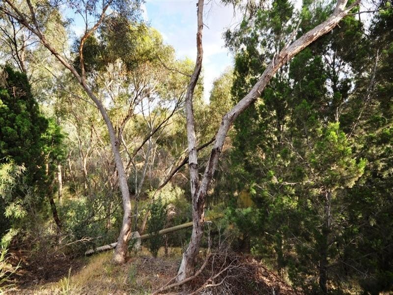 9 Dimasi Court, Hillbank SA 5112