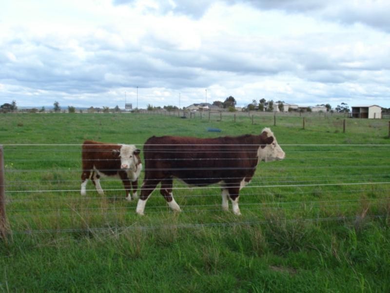 Lot 35 Clancy Road, Gawler Belt SA 5118