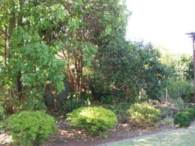 5 Turnworth Street, Elizabeth Downs SA 5113