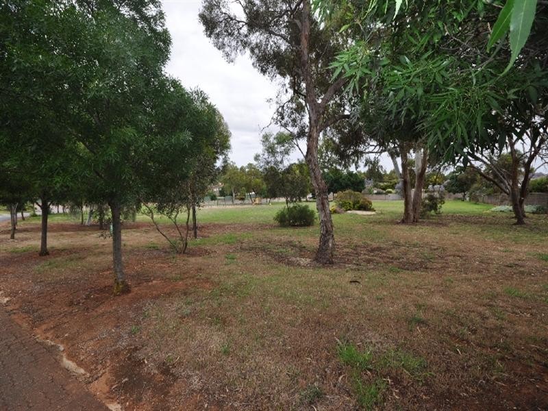 8 Honeysuckle Drive, Hillbank SA 5112