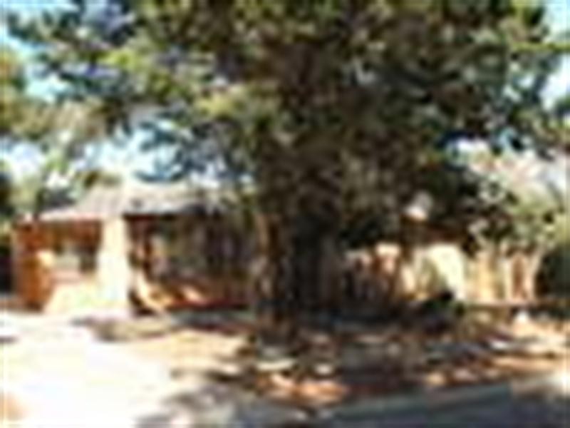 16 Drage Street, Elizabeth Downs SA 5113