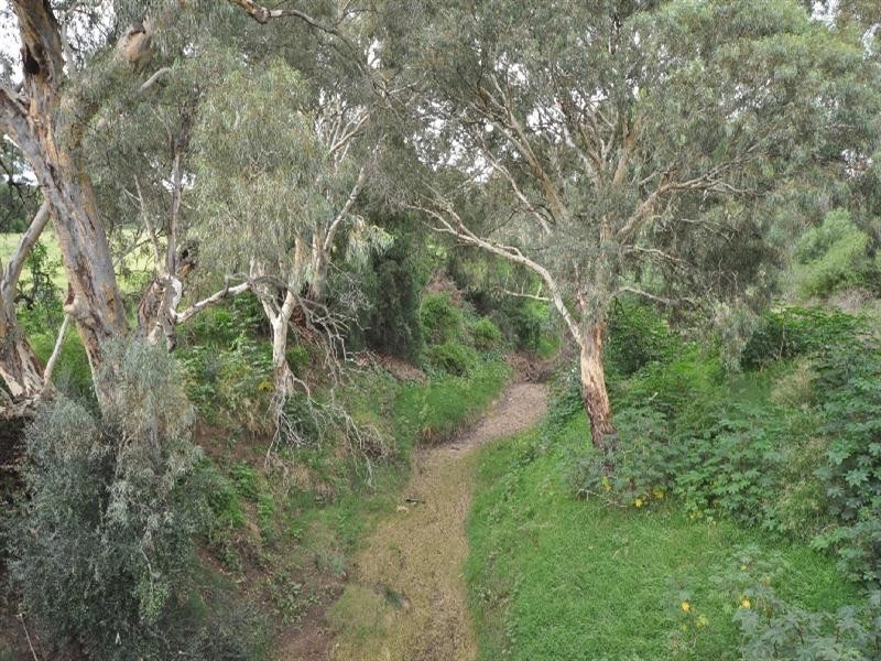 Lot 3 Jack Cooper Drive, Evanston SA 5116