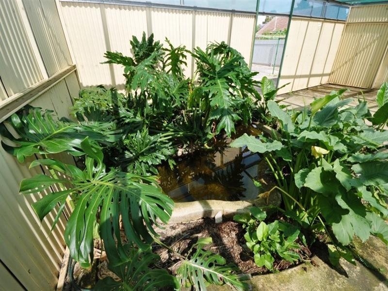 10. Hayles Road, Elizabeth Park SA 5113