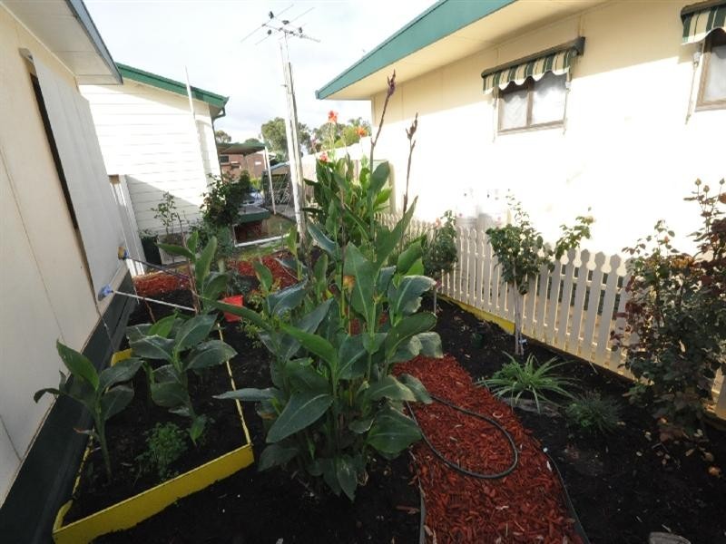 Site 1 Virginia Gardens Residential Park, Virginia SA 5120