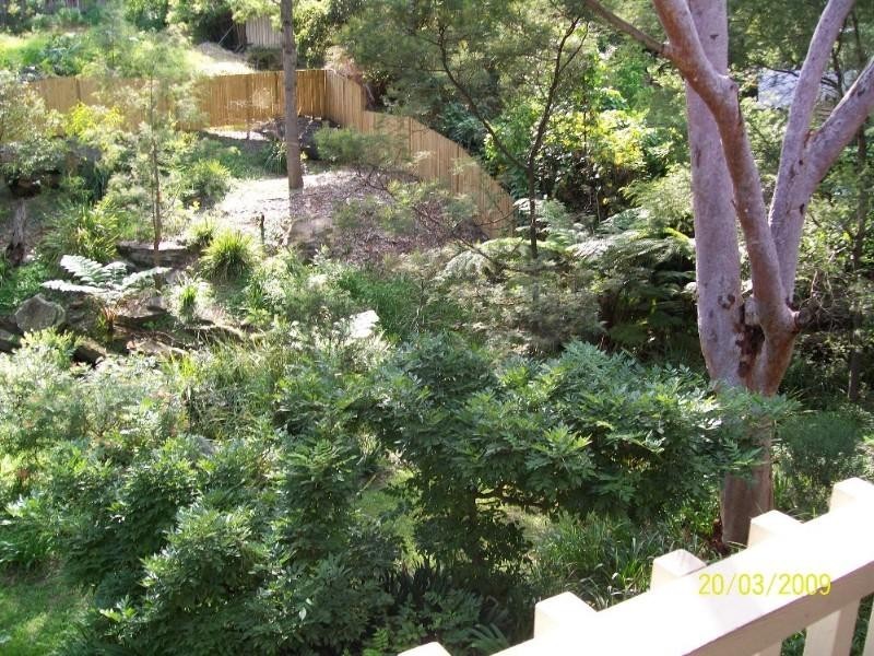 132 Cressy Road, East Ryde NSW 2113