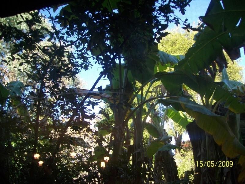 8 Levy Street, Putney NSW 2112