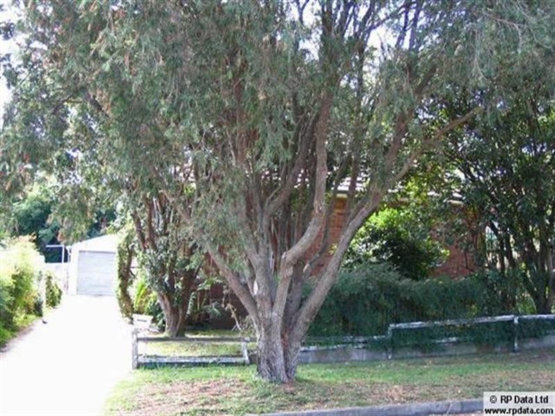 31 Beazley Street, Ryde NSW 2112