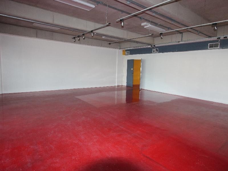 2/10 Newton Street, Auburn NSW 2144