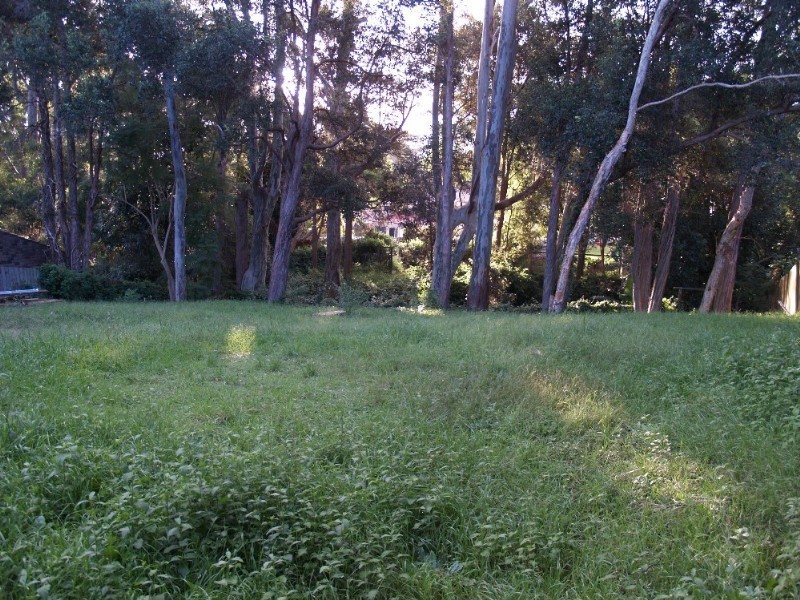 6A Stratford Avenue, Denistone NSW 2114