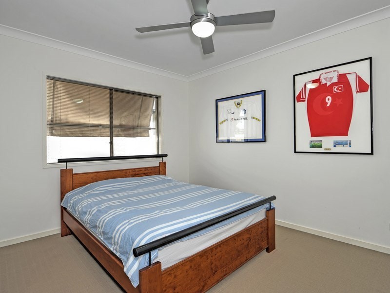 17 Rhodium Crescent, Hope Island QLD 4212