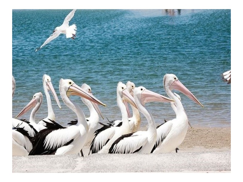 220 Marine Parade, Labrador QLD 4215