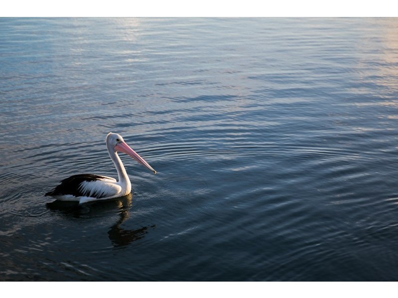 51/1 Manacor Place, Coombabah QLD 4216