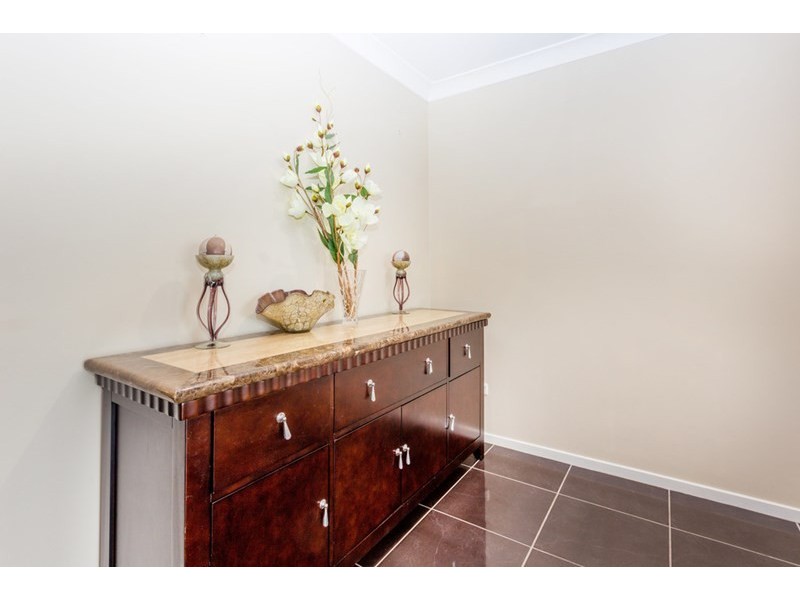 41 Poinsettia Avenue, Hollywell QLD 4216