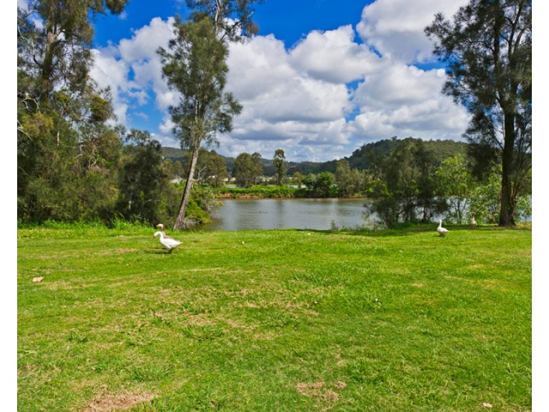 63 Graywillow Boulevard, Oxenford QLD 4210