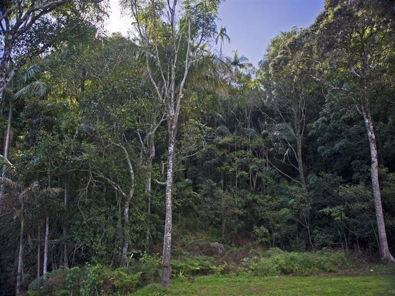 7/163 Curtis Road, Tamborine Mountain QLD 4272