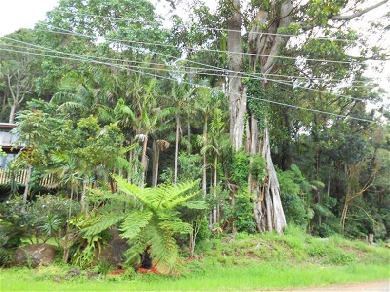 28 Carey Parade, Tamborine Mountain QLD 4272