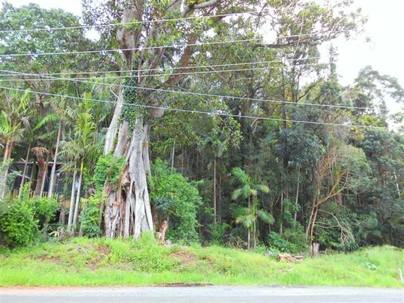 28 Carey Parade, Tamborine Mountain QLD 4272