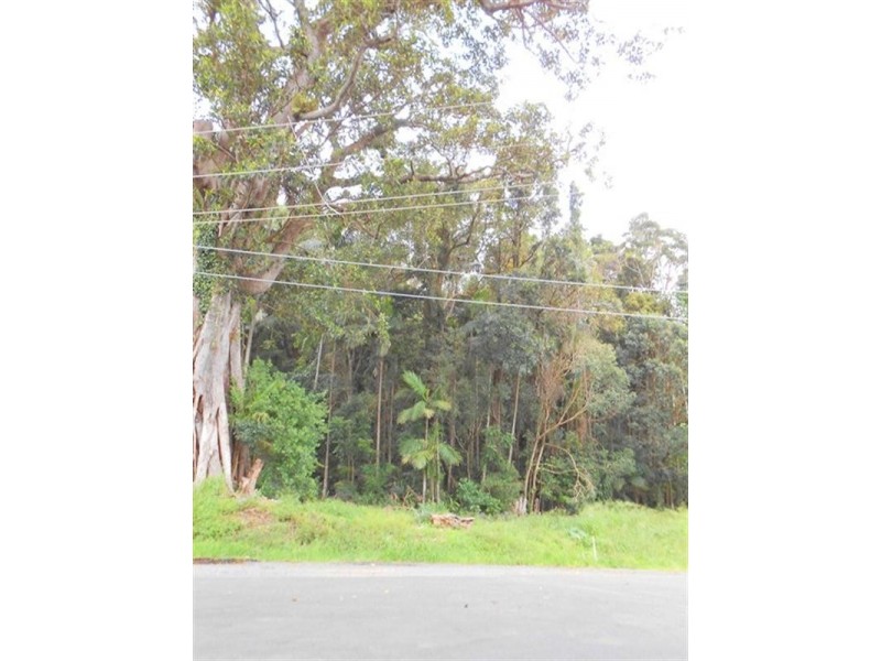 28 Carey Parade, Tamborine Mountain QLD 4272