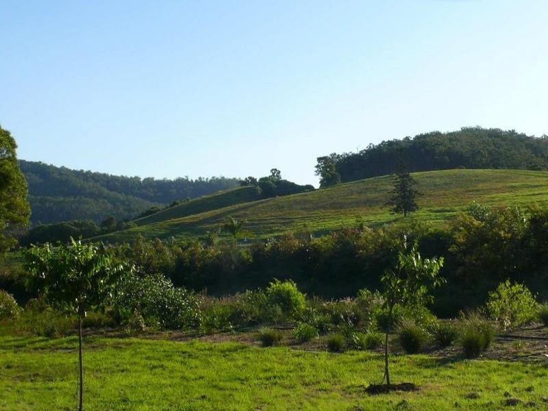 39 Ellen Grant Drive, Willow Vale QLD 4209