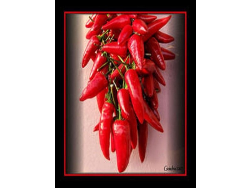 Springfield Lakes QLD 4300