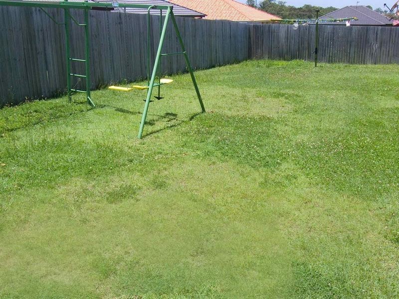 7 Rosefinch Street, Upper Coomera QLD 4209