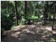 Nerang QLD 4211