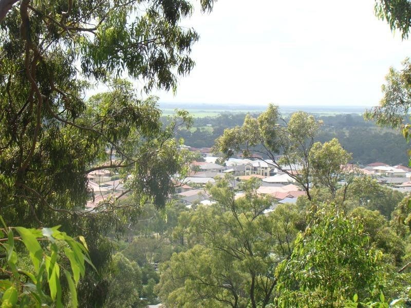 38 Leaver Court, Ormeau QLD 4208