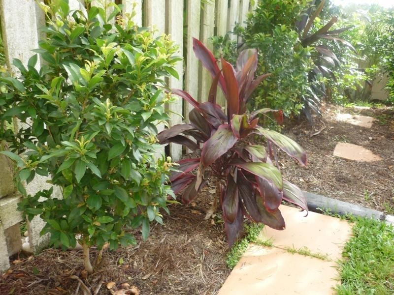 59/60 Caseys Road, Hope Island QLD 4212