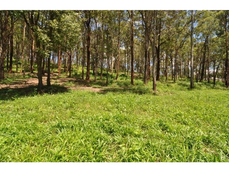 24 Bonogin Road, Mudgeeraba QLD 4213