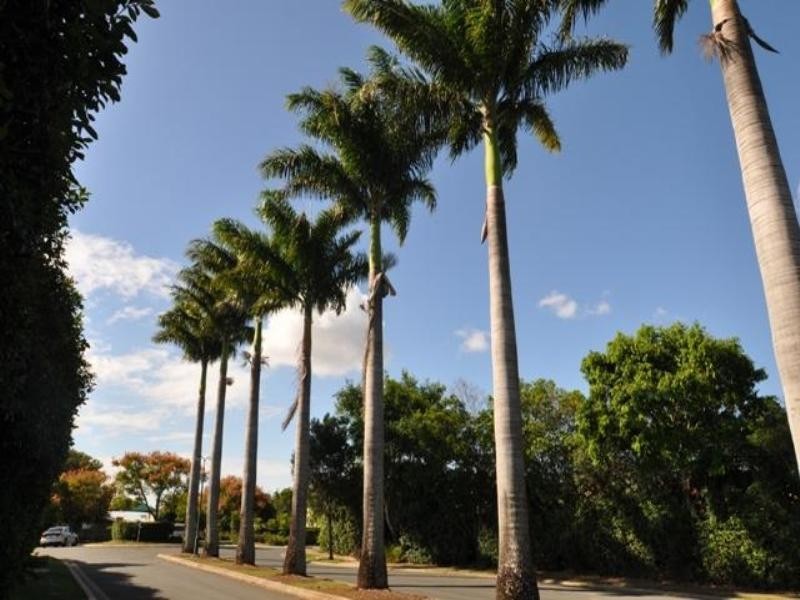 98 Serafina Drive, Helensvale QLD 4212