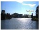 10 Ben Lexcen Place, Robina QLD 4226