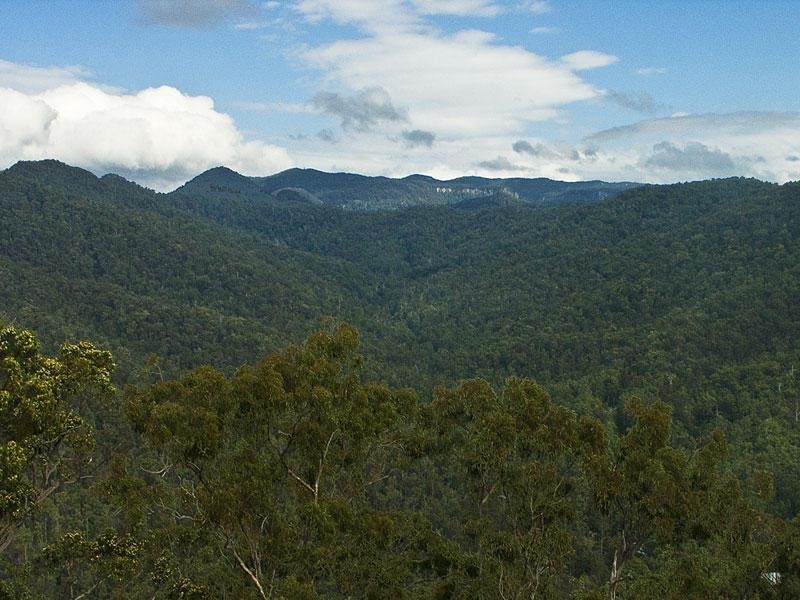 13 Riberry Court, Bonogin QLD 4213